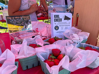 Cedarburg Strawberry Fest